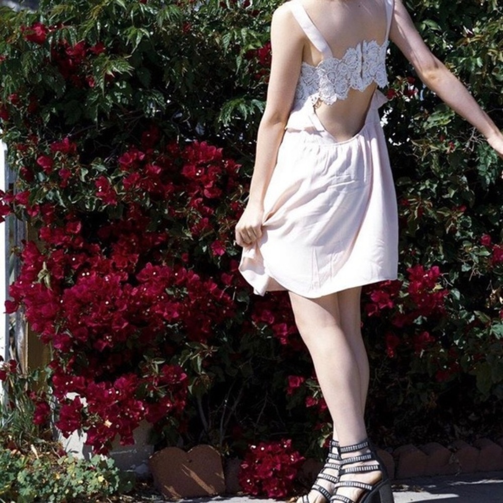 LAST ONE for love & lemons Sienna Blush Lace Dress - Picture 4 of 8